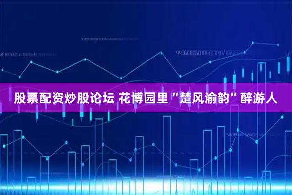 股票配资炒股论坛 花博园里“楚风渝韵”醉游人